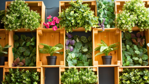 Plantas em móvel de madeira